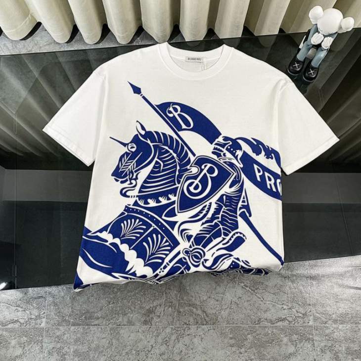 Picture of Burberry T Shirts Short _SKUBurberryS-XLaatx0119609